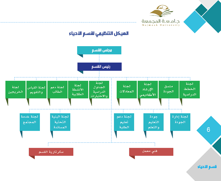 لجان القسم