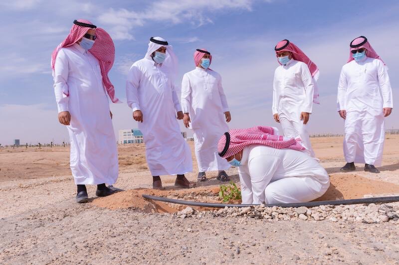 عمادة الدراسات العليا تشارك في مبادرة الجامعة لتشجير المدينة الجامعية