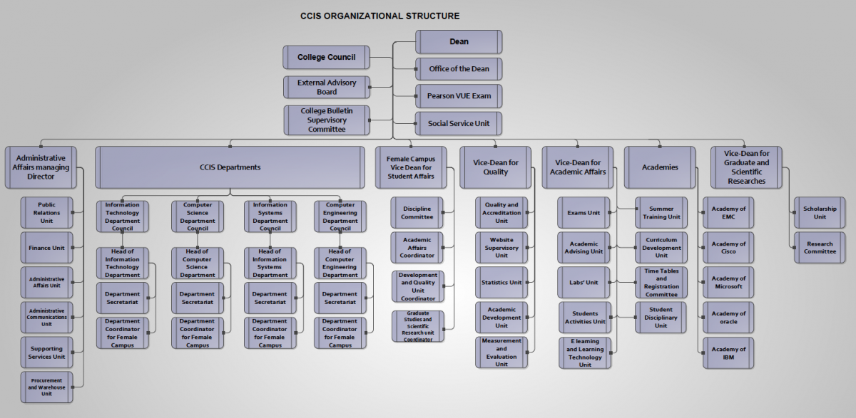 Organization Structure