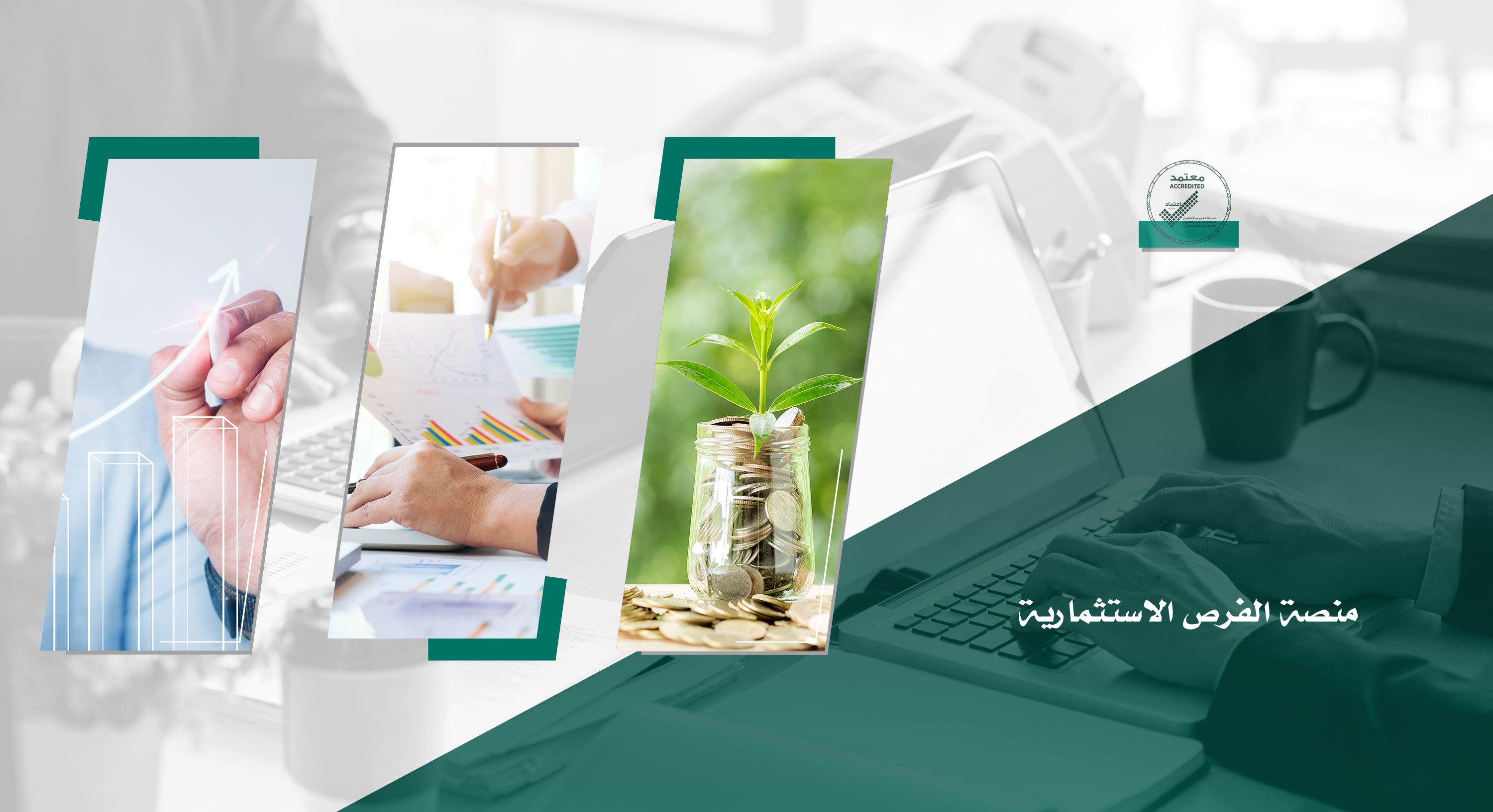 منصة الفرص الاستثمارية