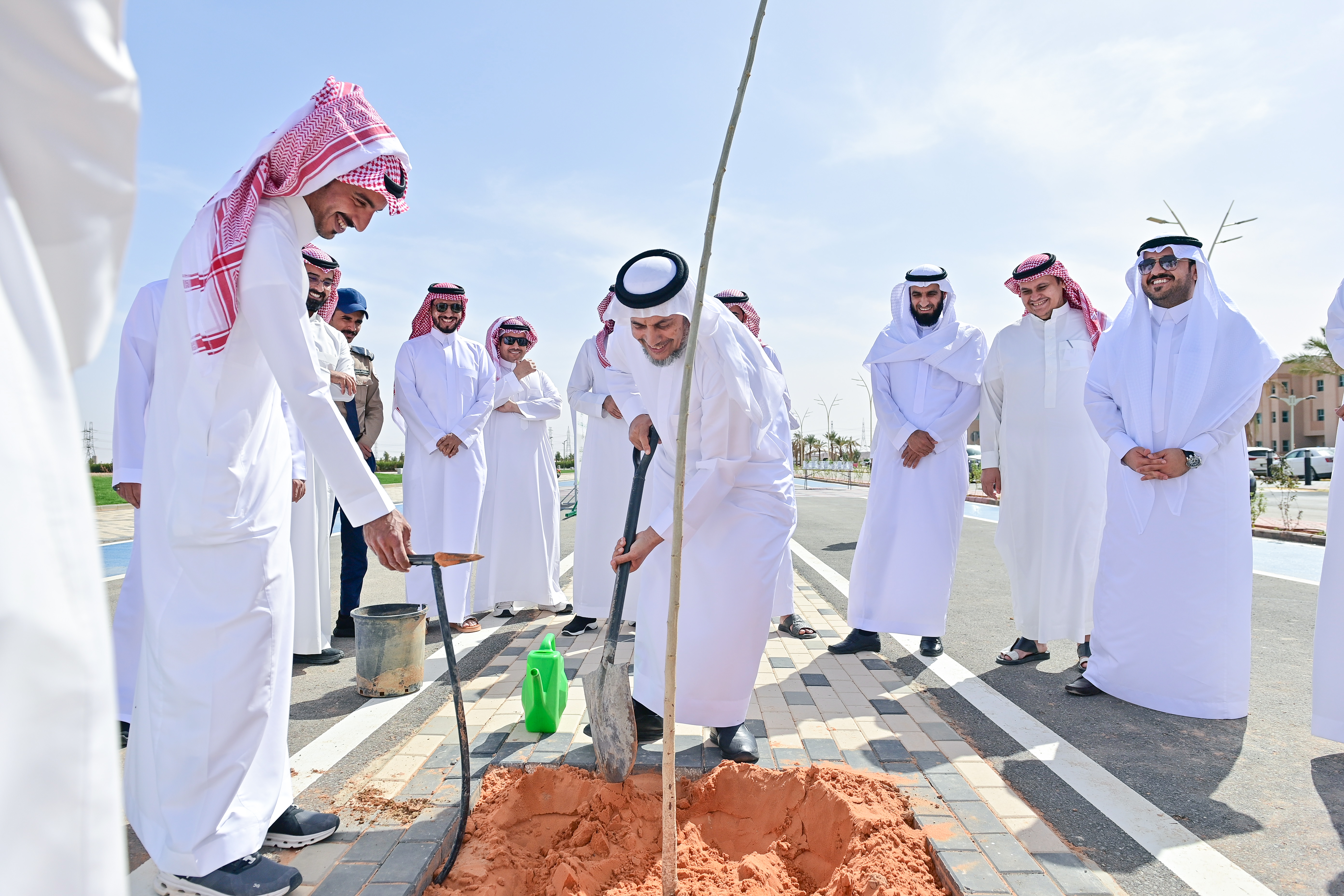 جامعة المجمعة