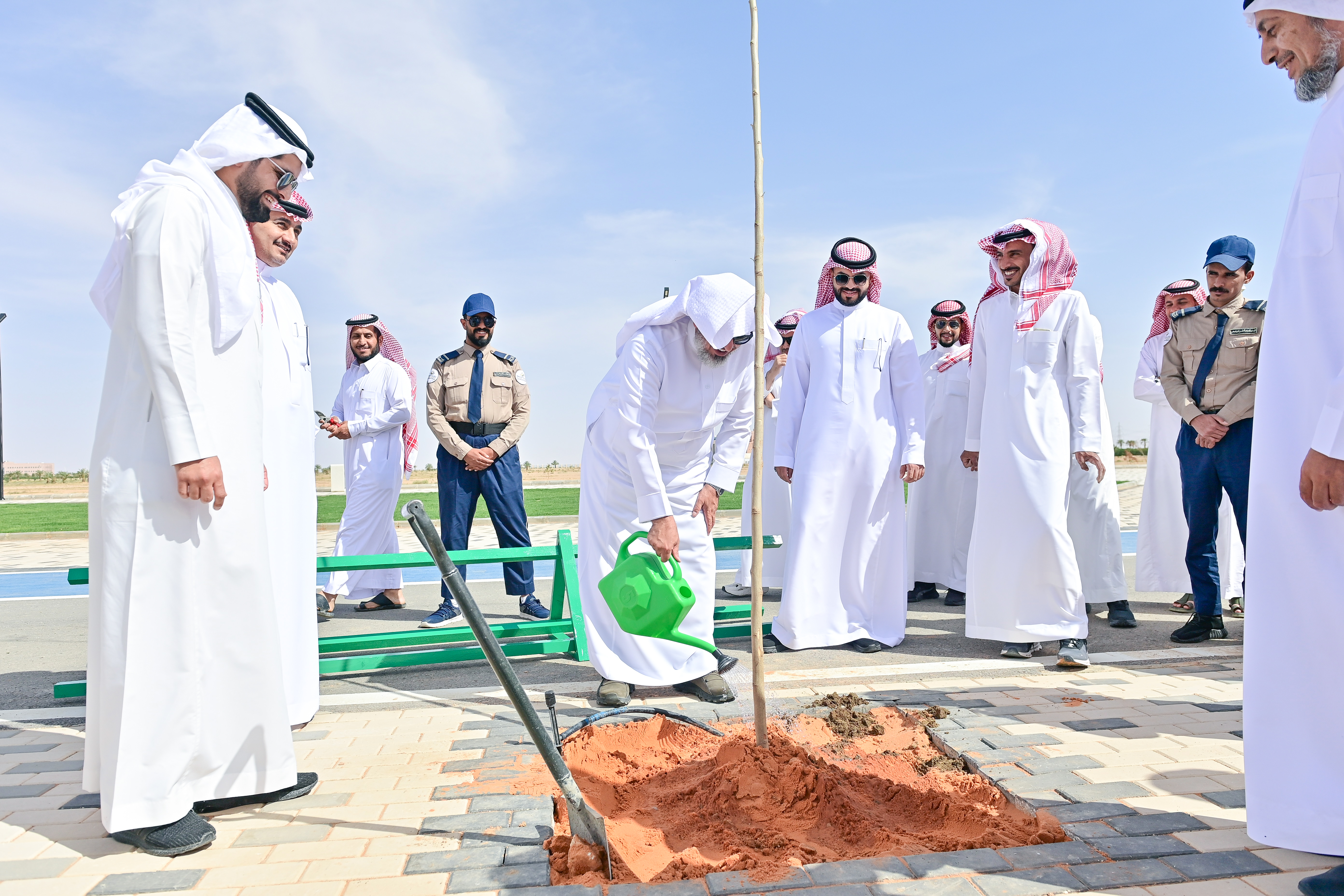 جامعة المجمعة