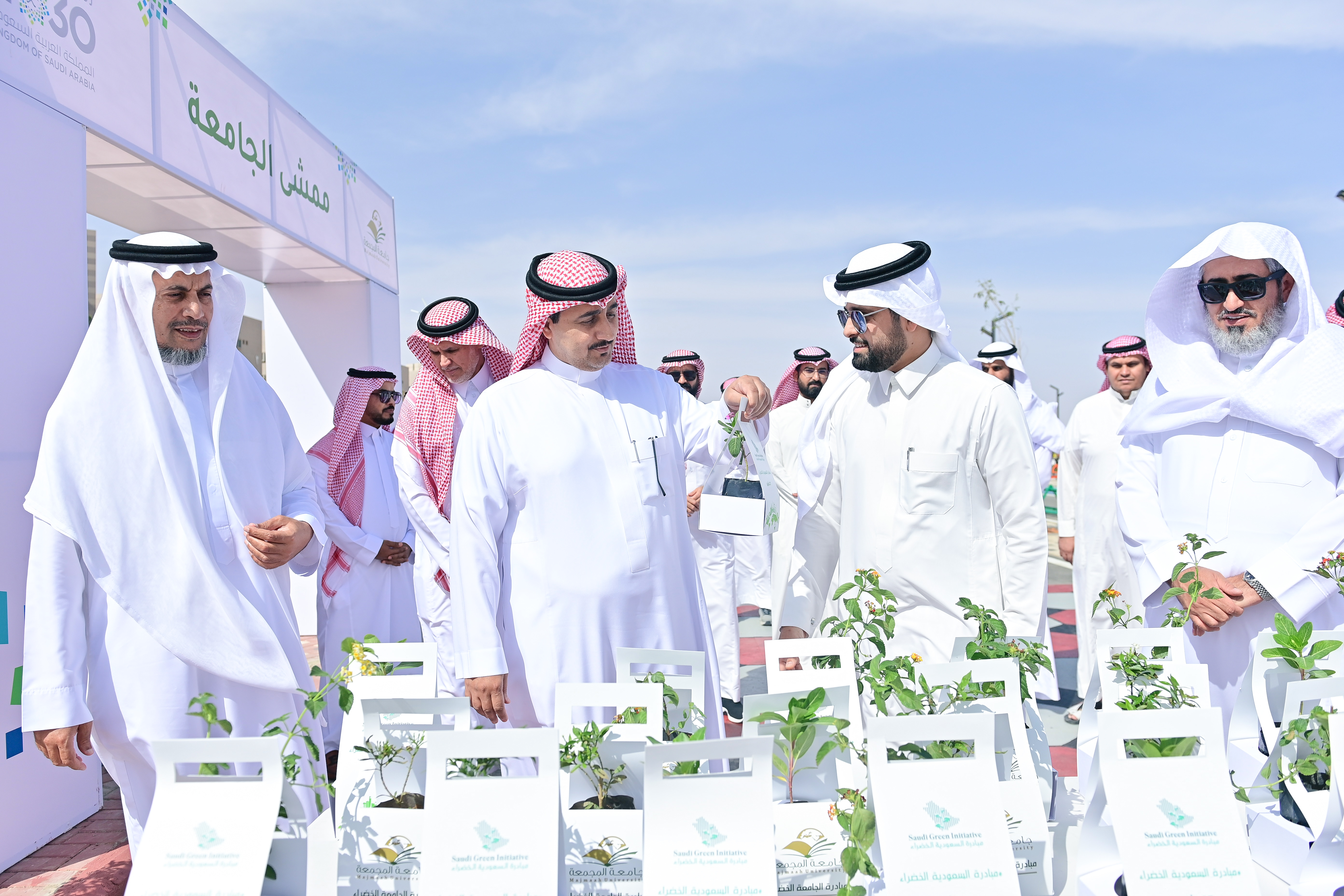 جامعة المجمعة
