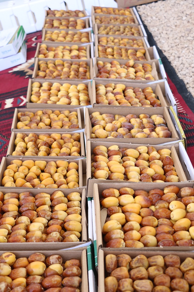 التمور