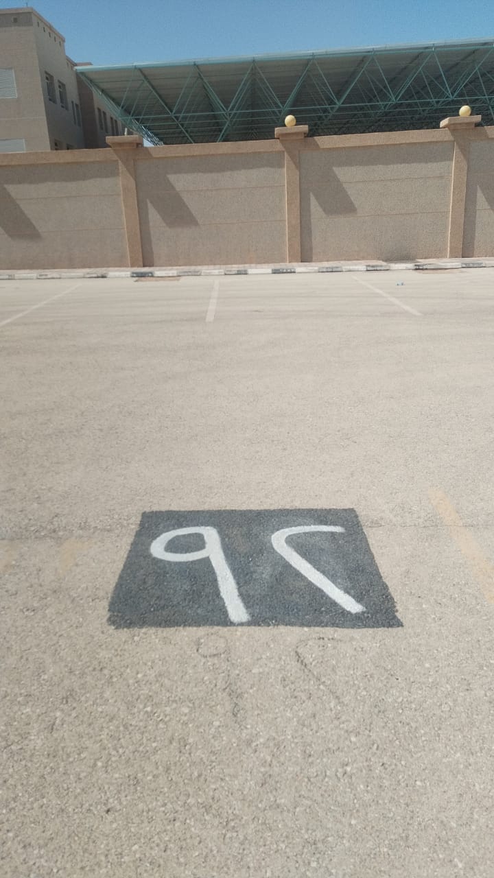 تنظيم
