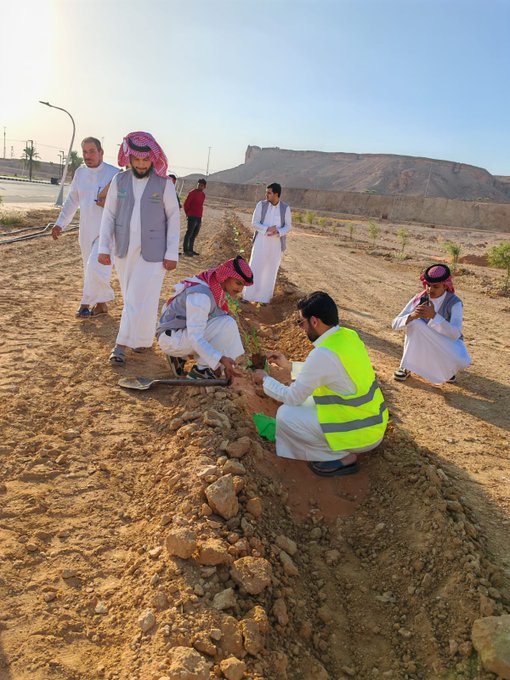 تشجير بالغاط