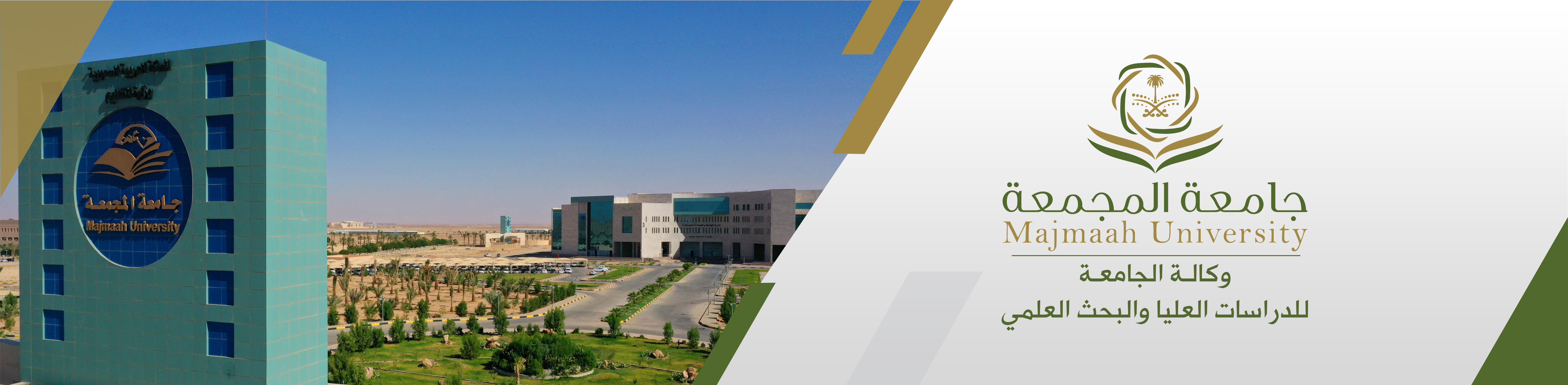 وكالة الجامعة للدراسات العليا والبحث العلمي