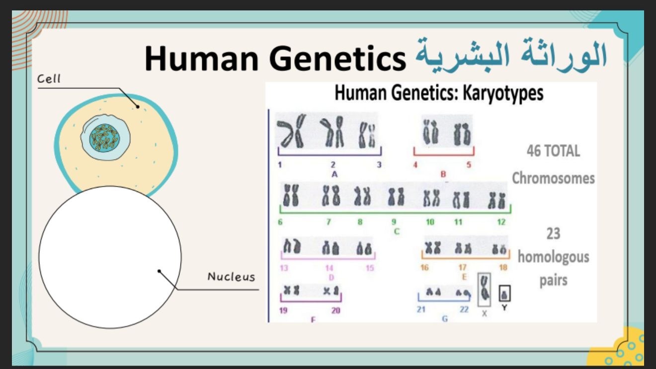 الأحياء في حياتنا