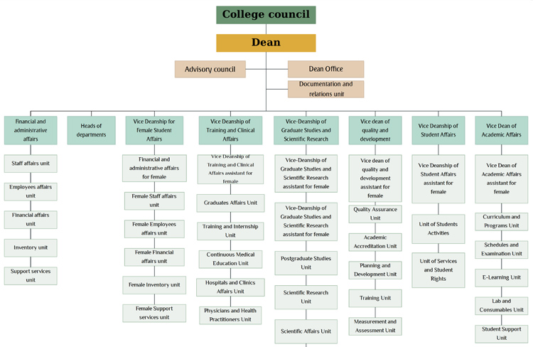 Algonquin College Organizational Chart