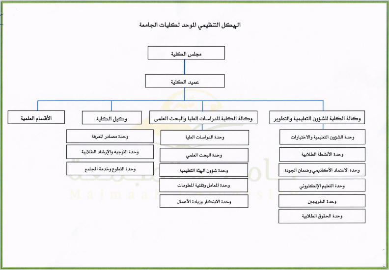 الهيكل التنظيمي