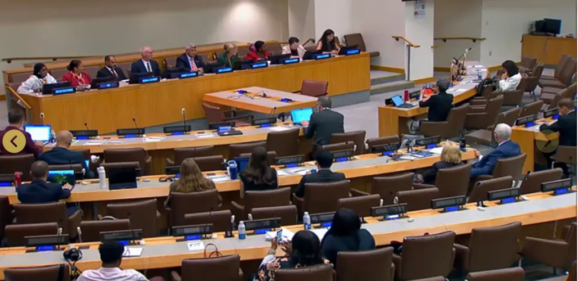 SDG 17.2.1 Direct involvement in national government SDG policy development - Image013