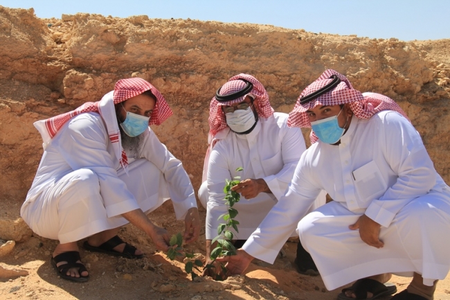 حملة تشجير بعنوان : لنجعلها خضراء