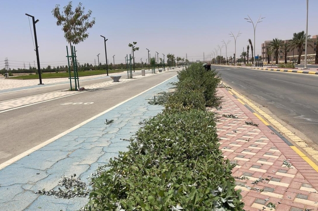 صورة