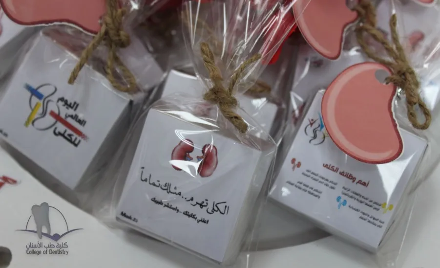 قسم الطالبات بالكلية يقيم برنامجا توعويا حول "صحة الكلى" - 