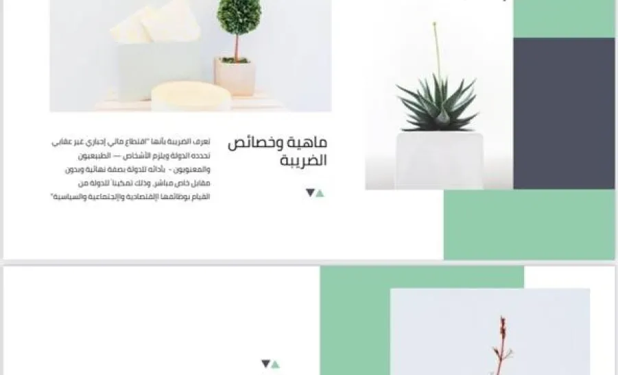 قسم المحاسبة يقيم دورة تدريبية بعنوان "ضريبة القيمة المضافة في المملكة العربية السعودية" - قسم المحاسبة يقيم دورة تدريبية بعنوان "ضريبة القيمة المضافة في المملكة العربية السعودية"