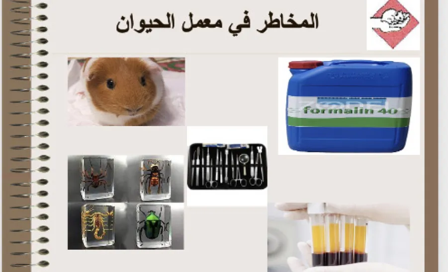 وحدة التدريب تقيم دورة حول الأمن والسلامة في المعامل - 1