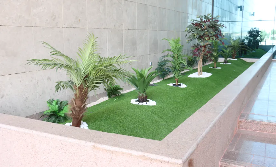 Renovate the university's main campus roads - تأهيل