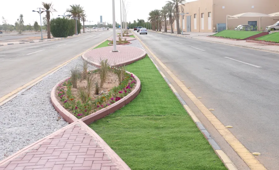 Renovate the university's main campus roads - تأهيل