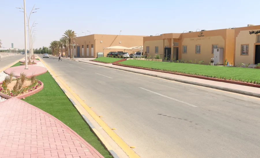 Renovate the university's main campus roads - تأهيل