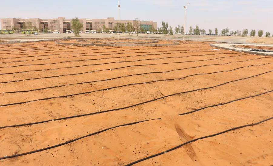 The Administration is decorating roads for a green environment - تزيين الطرق والممرات من أجل بيئة خضراء