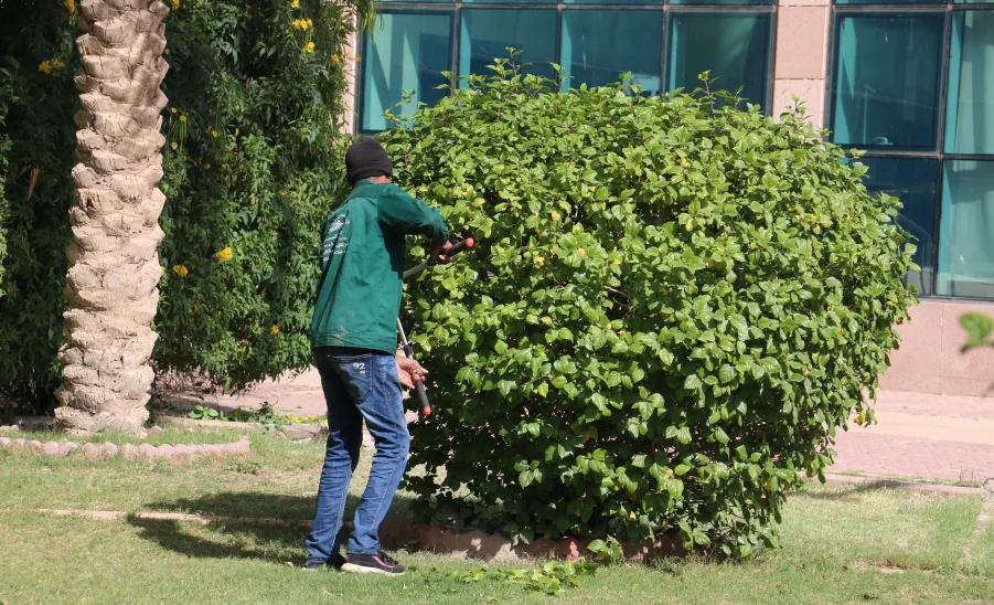 Renovation works for the college complex building completed  - تأهيل