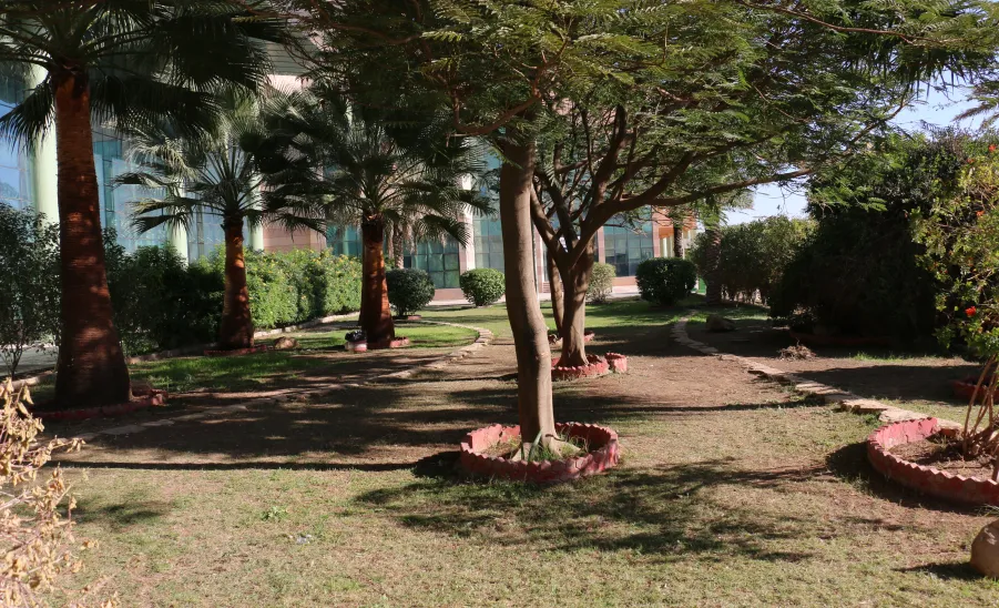 Renovation works for the college complex building completed  - تأهيل