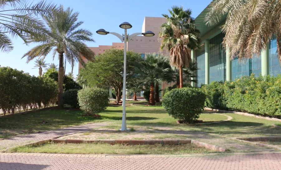 Renovation works for the college complex building completed  - تأهيل