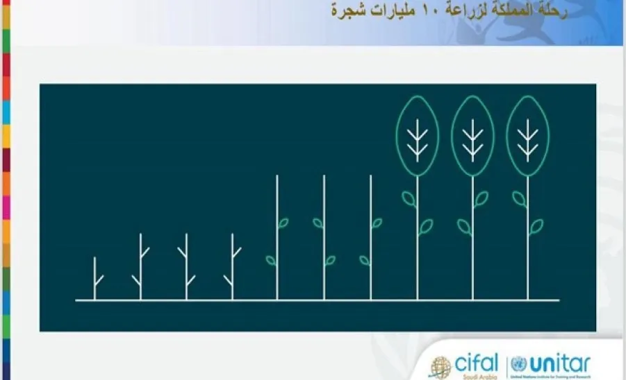 The Saudi Cifal Center conducts 11th meeting under the theme: Employing the Sustainable Development Goals 2030 in Empowering the Saudi Green Initiative -  ندوة علمية حول "توظيف أهداف التنمية المستدامة 2030 في تمكين مبادرة السعودية الخضراء"