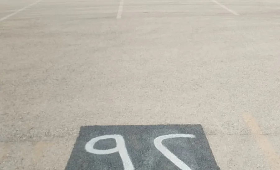 GAPOM marks bus routes  - تنظيم 