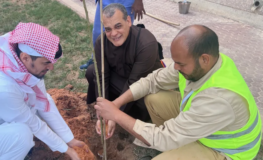 Afforestation at the university housing  - 5