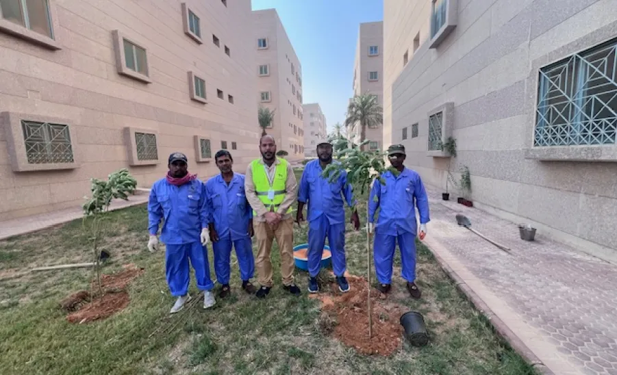 Afforestation at the university housing  - 3