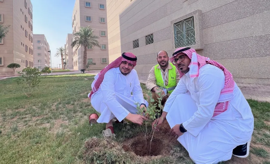 Afforestation at the university housing  - 6