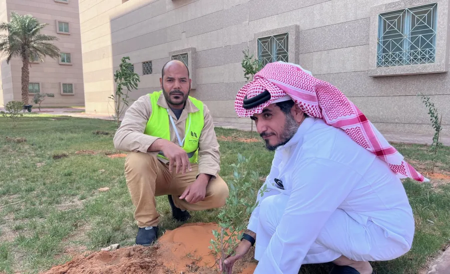 Afforestation at the university housing  - 4