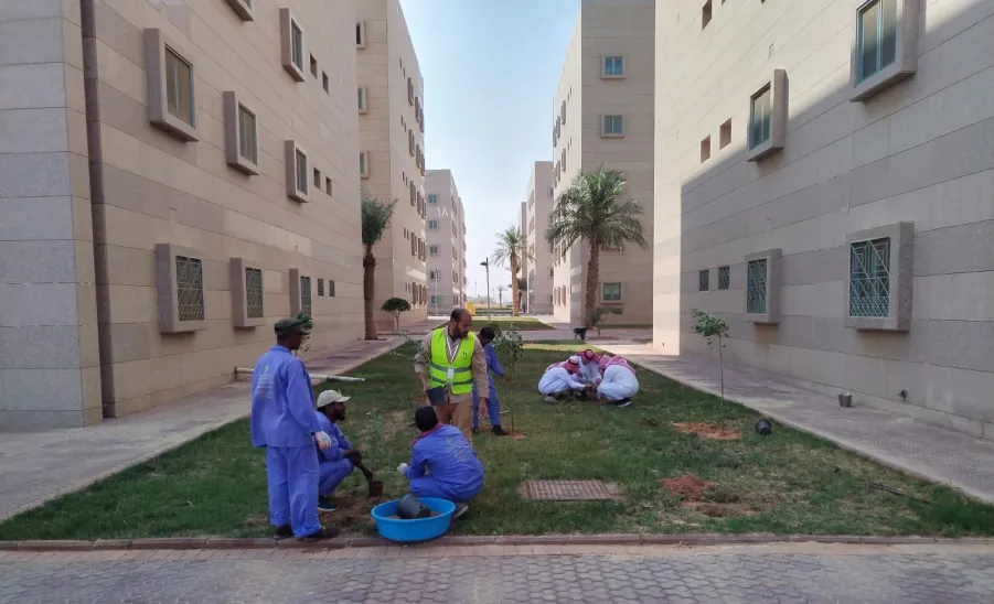Afforestation at the university housing  - 1