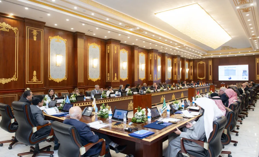 الجامعة تنظم الاجتماع الحادي والعشرين للجنة التوجيهية لشبكة سيفال العالمية -   الاجتماع الحادي والعشرين للجنة التوجيهية لشبكة سيفال العالمية 