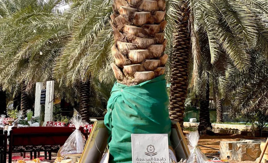 الكلية التطبيقية بفرع الزلفي تحتفي بيوم التأسيس -  الزلفي طالبات يوم التأسيس 