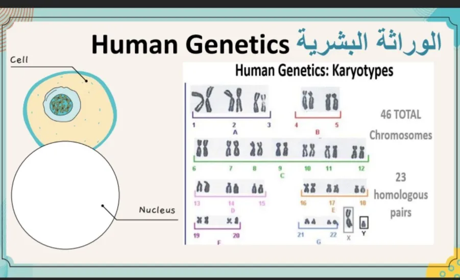 وحدة التطوع وخدمة المجتمع تقيم دورة بعنوان : الأحياء في حياتنا  - الأحياء في حياتنا 