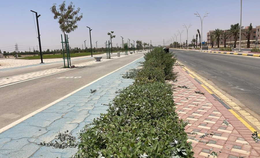 صورة