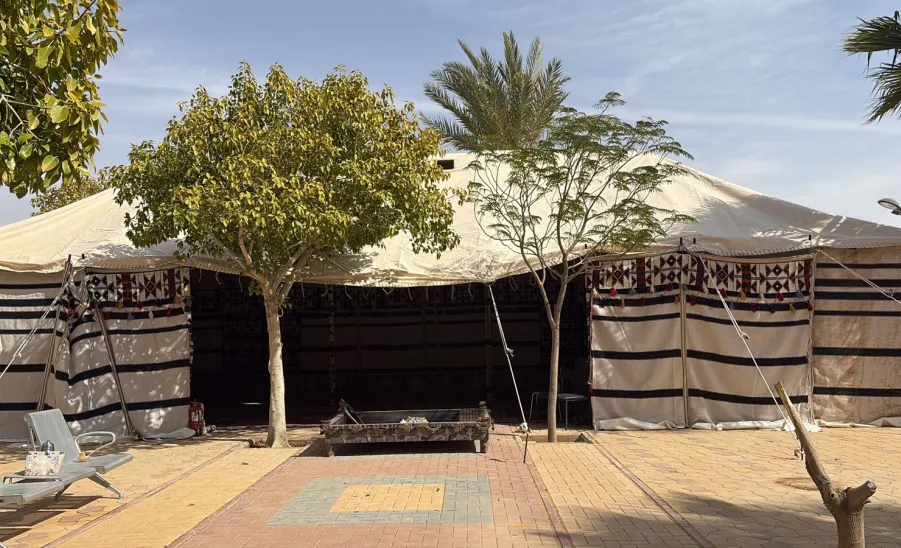 The General Administration of Performance and Compliance hosts an Event at the Female Students Complex in Zulfi -  .