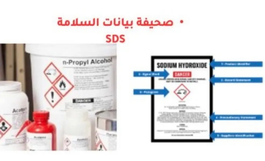 كلية العلوم تقيم دورة تدريبية بعنوان : الدليل المعتمد للسلامة العامة في معامل كلية العلوم - كلية العلوم تقيم دورة تدريبية بعنوان الدليل المعتمد للسلامة العامة في معامل كليه العلوم