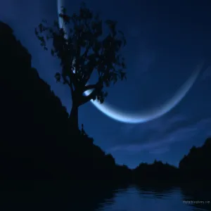 الاخبار