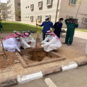 Celebration of World Environment Day