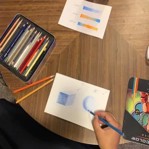 A Training course on Basics of drawing with wood colors