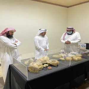 Vice Rector for Educational Affairs visits Museum of Science and Archeology