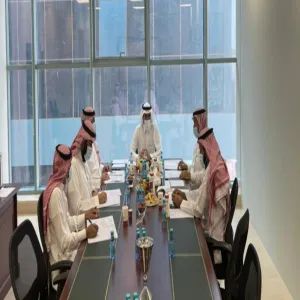 THE AUDIT COMMITTEE RESUMES ITS WORKS