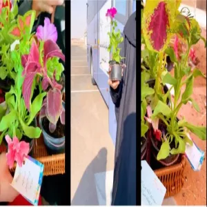 الإدارة العامة للخدمات تقييم عدد من الفعاليات بمناسبة اليوم الوطني