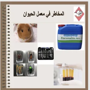وحدة التدريب تقيم دورة حول الأمن والسلامة في المعامل