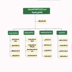 Organizational structure of GAPOM approved