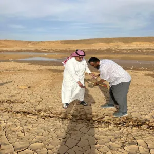 الكلية التطبيقية تشارك في فعاليات نثر البذور ضمن مبادرة السعودية الخضراء