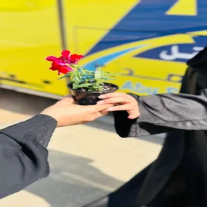 الإدارة العامة للخدمات توزع عدداً من الشتلات ضمن موسم التشجير الوطني